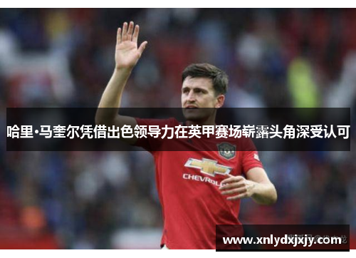 哈里·马奎尔凭借出色领导力在英甲赛场崭露头角深受认可 哈里·马奎尔凭借出色领导力在英甲赛场崭露头角深受认可