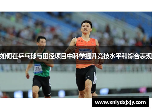 如何在乒乓球与田径项目中科学提升竞技水平和综合表现