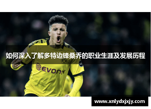如何深入了解多特边锋桑乔的职业生涯及发展历程