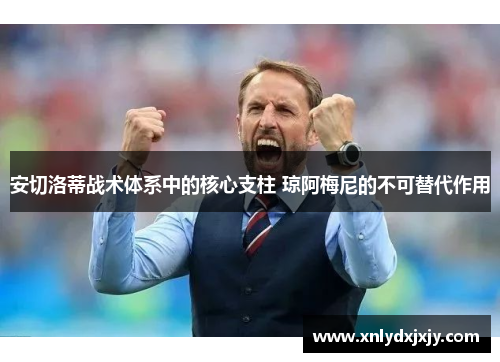 安切洛蒂战术体系中的核心支柱 琼阿梅尼的不可替代作用