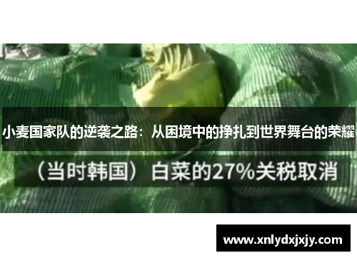 小麦国家队的逆袭之路：从困境中的挣扎到世界舞台的荣耀