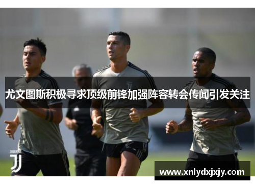 尤文图斯积极寻求顶级前锋加强阵容转会传闻引发关注